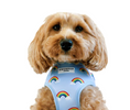 Load image into Gallery viewer, LUXE ADJUSTABLE NECK Dog and Puppy HARNESS - OVER THE RAINBOW - Posh Poos
