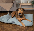 Load image into Gallery viewer, Scruffs Seattle Dog Mattress Green
