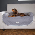 Load image into Gallery viewer, Scruffs Wilton Sofa Dog Bed
