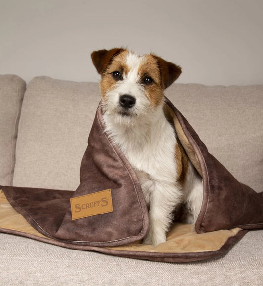 Scruffs Kensington Dog Blanket-Chocolate
