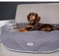 Load image into Gallery viewer, Scruffs Wilton Sofa Dog Bed
