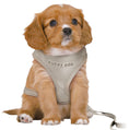 Load image into Gallery viewer, GREY Soft Puppy Harness with matching lead Tiny PUPPY
