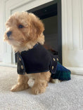 Load image into Gallery viewer, Tartan Kilt Coat 8 inch (puppy size)
