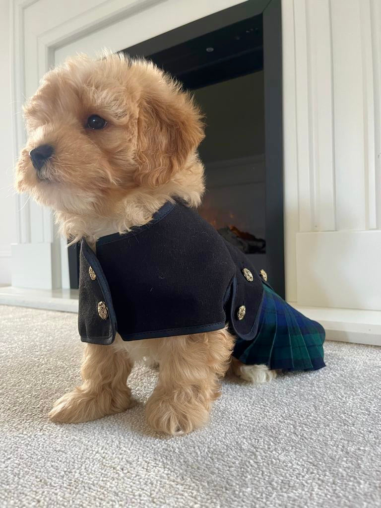 Tartan Kilt Coat 8 inch (puppy size) - Posh Poos