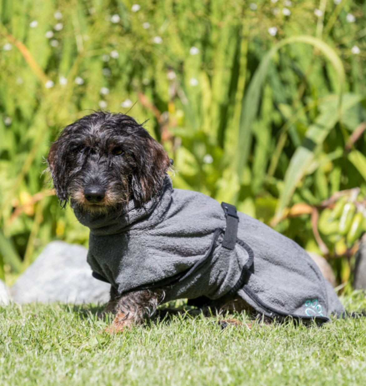 Puppy and Small Dog Bathrobe XS