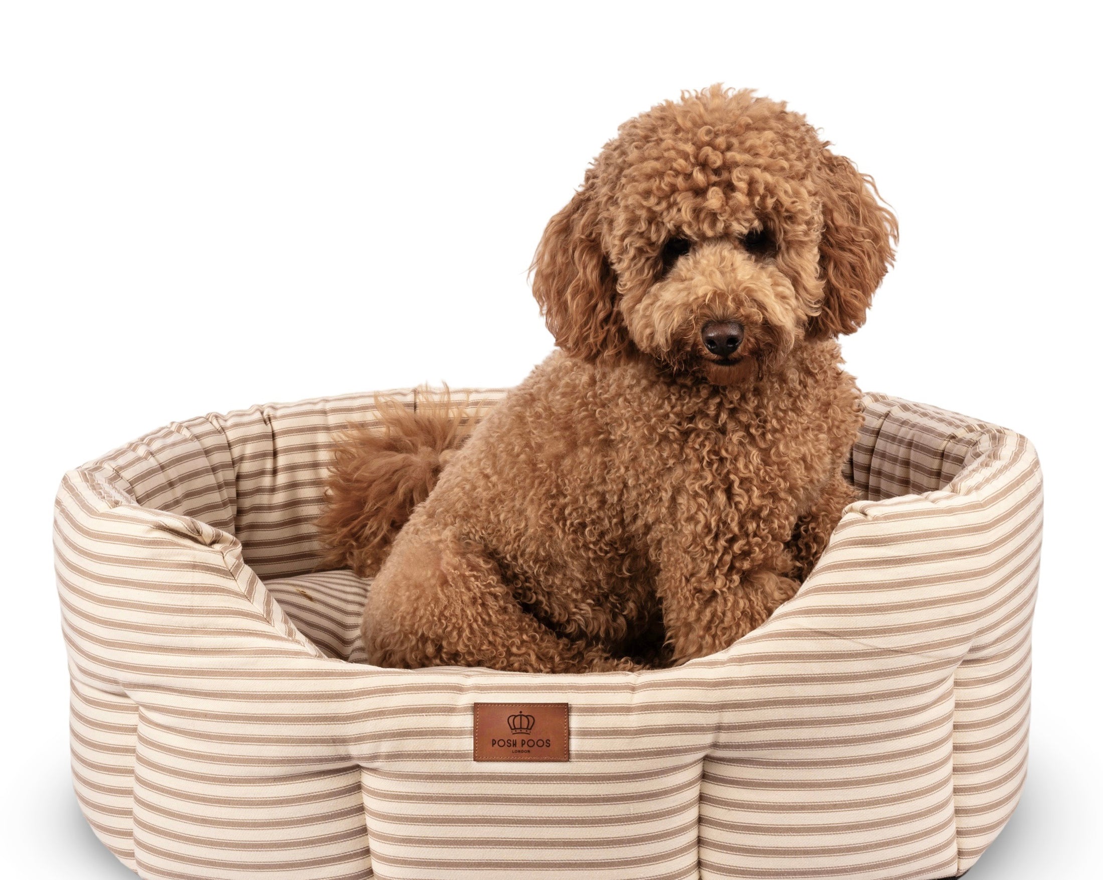 Posh Poos Slumbernest Dog Bed in Heritage Stripe for Dog and Puppy