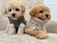 Load image into Gallery viewer, Tiny Puppy Jumper,  BACK IN STOCK
