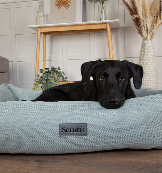 Scruffs Seattle Box Dog Bed Green