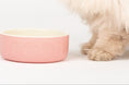 Load image into Gallery viewer, Classic Food Dog Bowl Pink - Posh Poos
