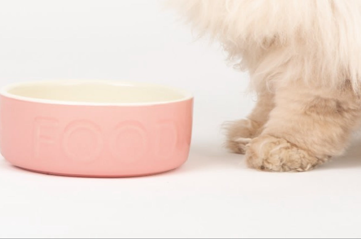 Classic Food Dog Bowl Pink - Posh Poos