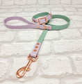 Load image into Gallery viewer, Waterproof BioThane® Dog Collar & Dog Lead Set - Sage & Lilac  SMALL
