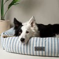 Load image into Gallery viewer, Scruffs Blue Stripe Coastal Box Dog Bed for Dogs and Puppies - Posh Poos
