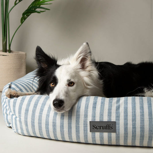 Scruffs Blue Stripe Coastal Box Dog Bed for Dogs and Puppies