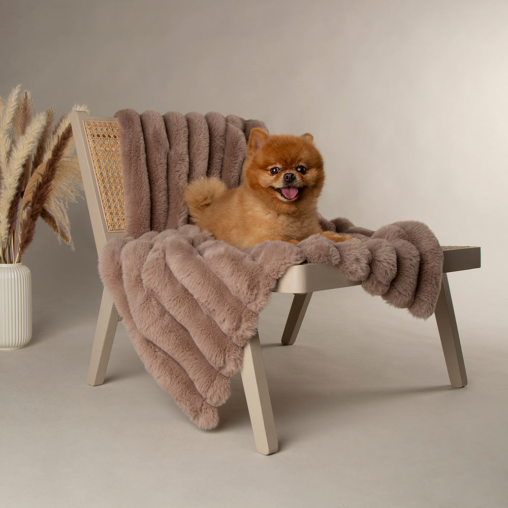 Scruffs Aspen Furry Dog/Puppy Blanket Taupe