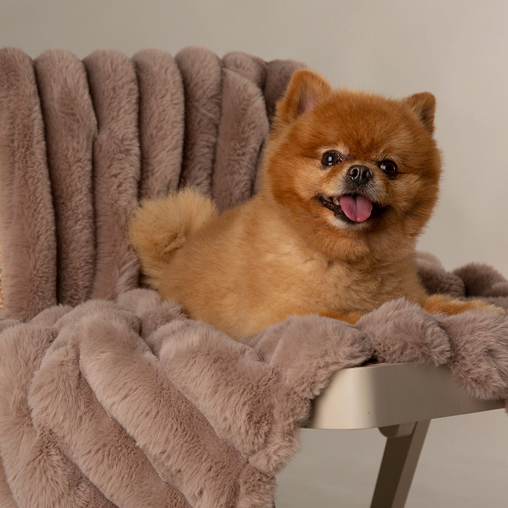 Scruffs Aspen Furry Dog/Puppy Blanket Taupe