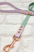 Load image into Gallery viewer, Waterproof BioThane® Dog Collar & Dog Lead Set - Sage & Lilac  SMALL
