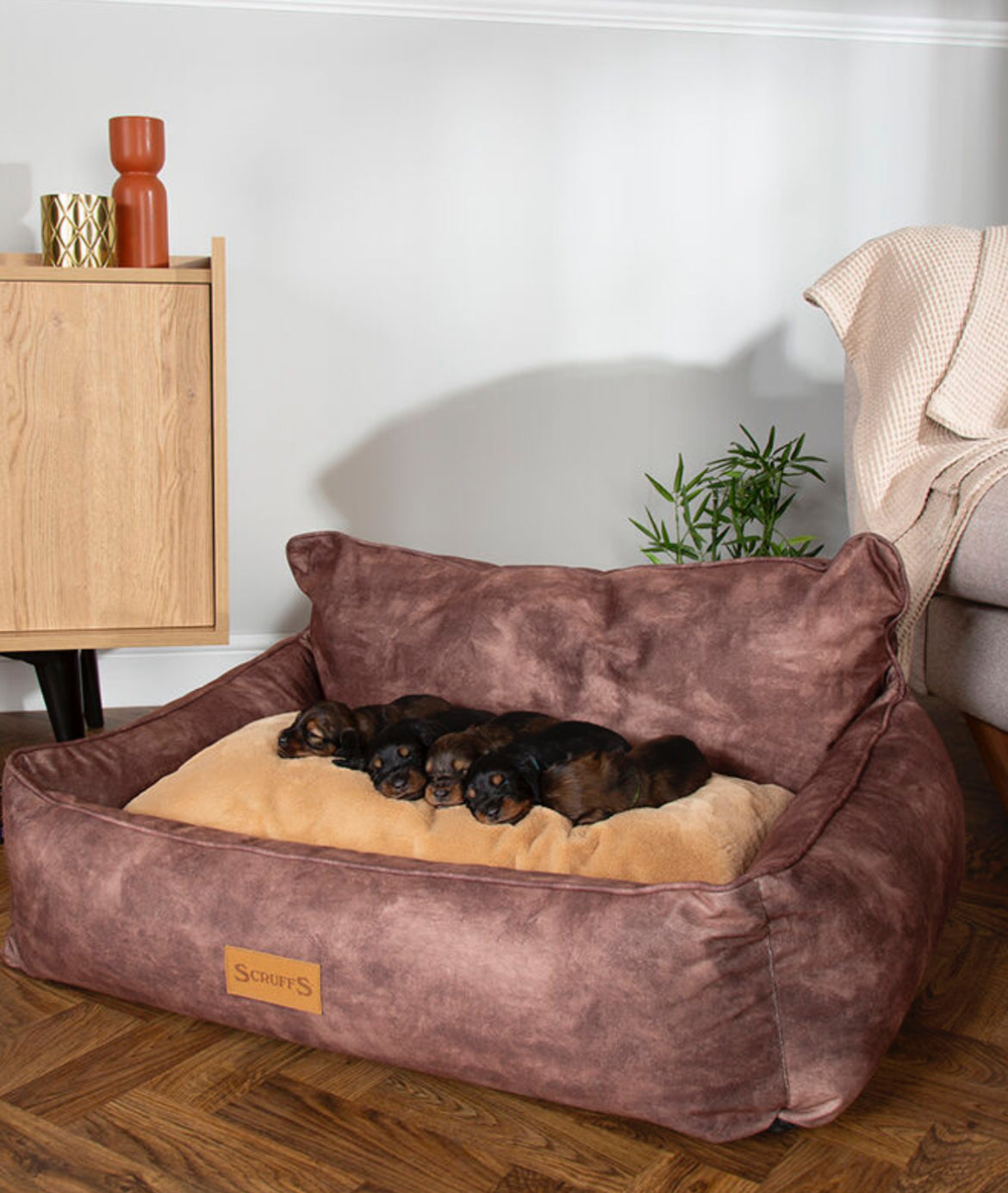 Kensington Box Dog Bed-Chocolate - Posh Poos