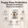 Load image into Gallery viewer, Probiotics Supplement For Puppies And Dogs
