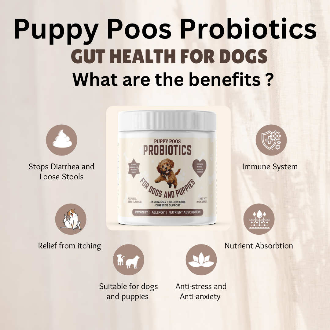 Probiotics Supplement For Puppies And Dogs - Posh Poos