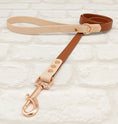 Load image into Gallery viewer, Waterproof BioThane® Dog Collar & Dog Lead Set - Brown and Powder Pearl  EXTRA SMALL
