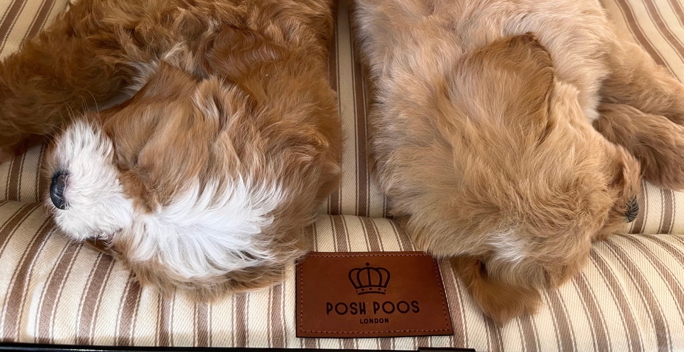 Posh Poos Dog Crate Cushion in Heritage Stripe