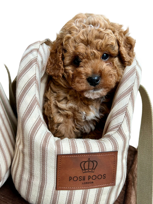 Posh dog carrier best sale