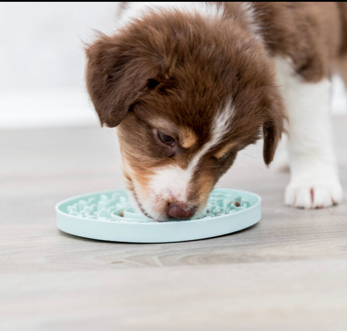 Calming Licking Mat Puppy/Dog Toy - Posh Poos