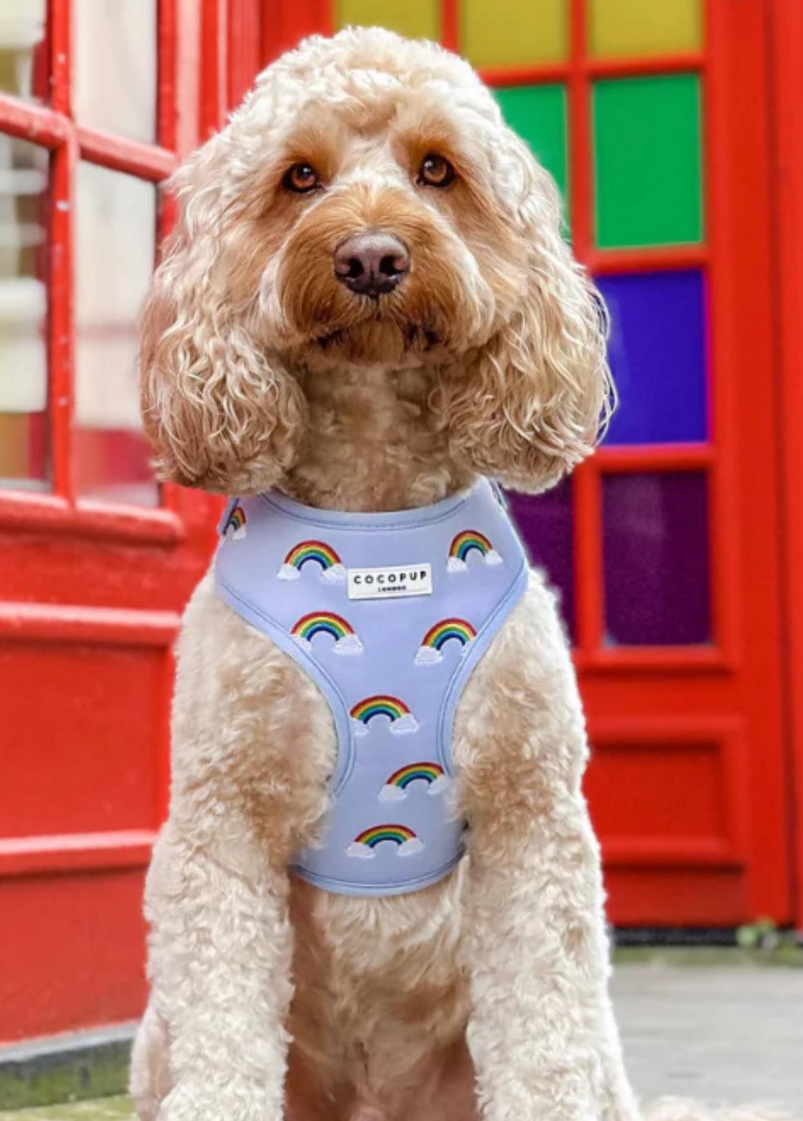 LUXE ADJUSTABLE NECK Dog and Puppy HARNESS OVER THE RAINBOW