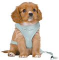 Load image into Gallery viewer, MINT Soft Puppy Harness With Matching PUPPY SIZE
