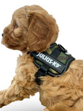 Load image into Gallery viewer, Julius-K9® Powerharness Baby 1–Mini 3XS TINY PUPPY SIZE
