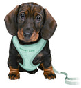 Load image into Gallery viewer, MINT Soft Puppy Harness With Matching PUPPY SIZE
