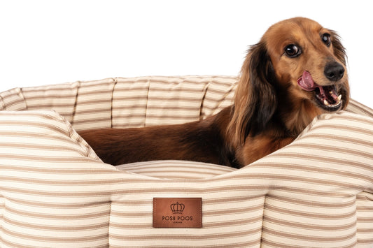 Posh Poos Slumbernest Dog Bed in Heritage Stripe for Dog and Puppy