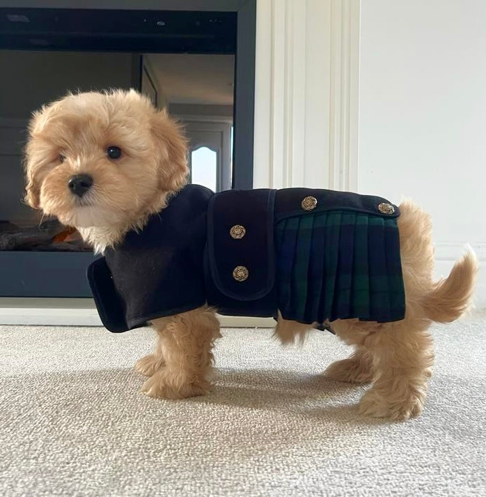 Tartan Kilt Coat 8 inch (puppy size) - Posh Poos