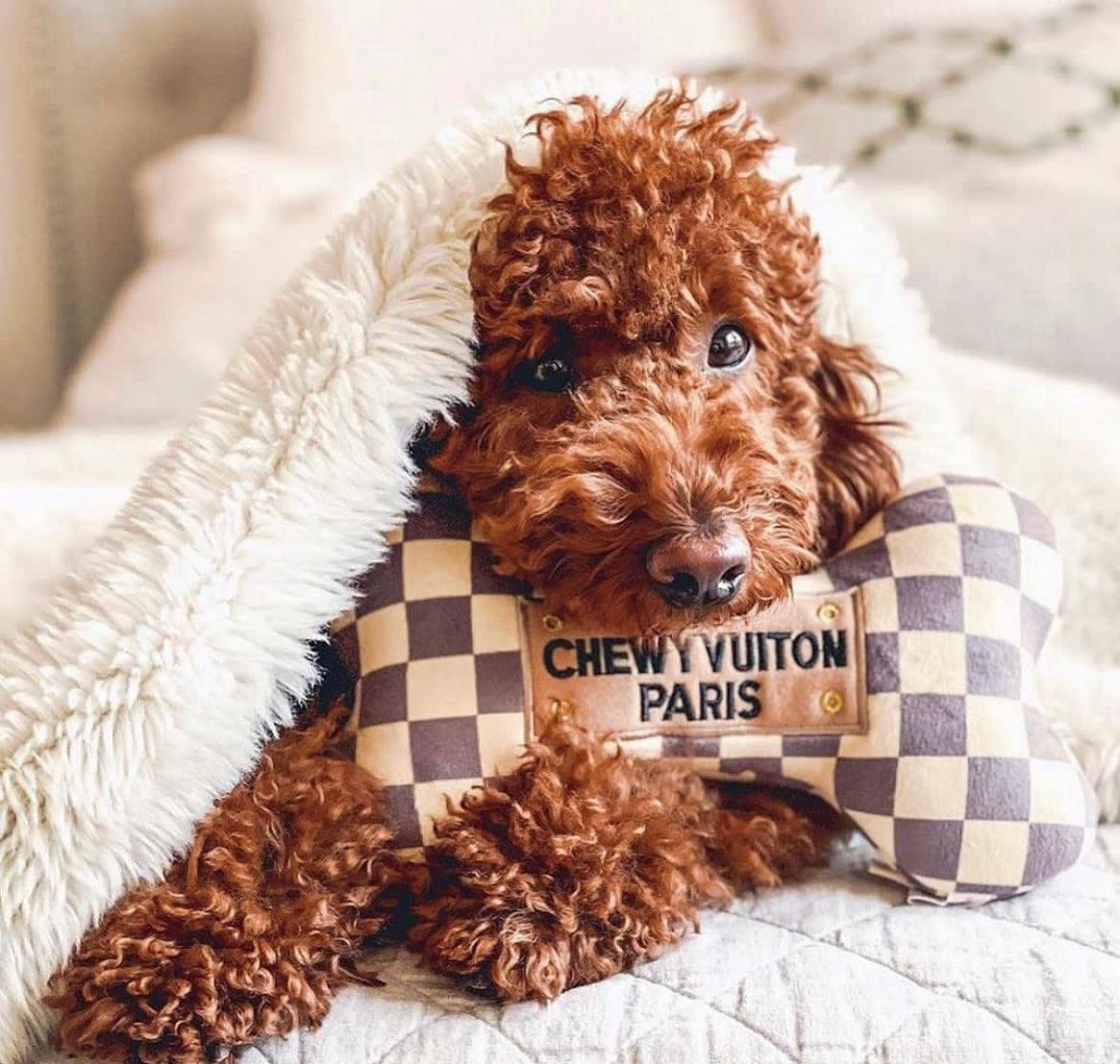 Chewy Vuitton Bowl, Mat and Toy Set, Free Delivery - Posh Poos