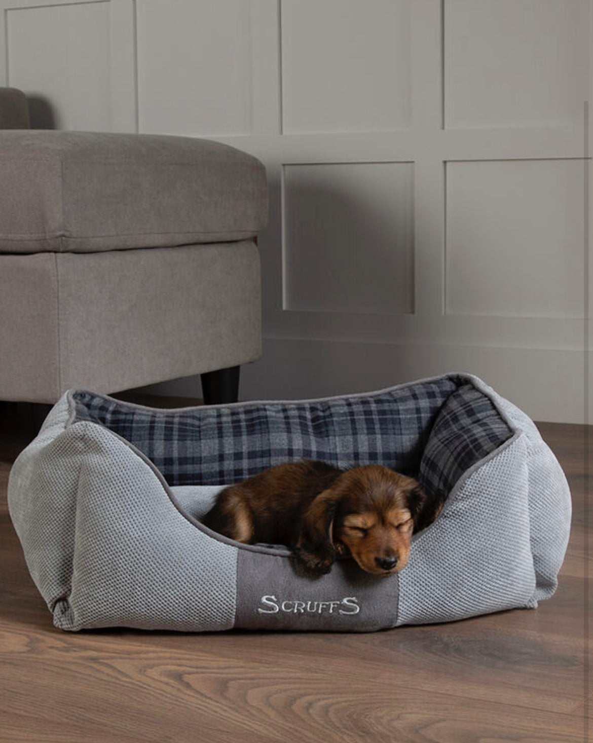 Scruffs Highland Box Bed, 50x40 cm EXTRA SMALL Puppy