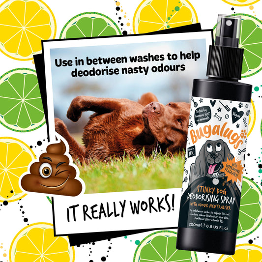 Bugalugs Stinky Dog Deodorising Spray For Dogs And Puppies 200ml - Posh Poos